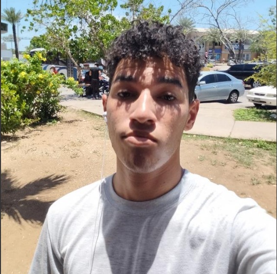 Victor Tineo - Web Developer